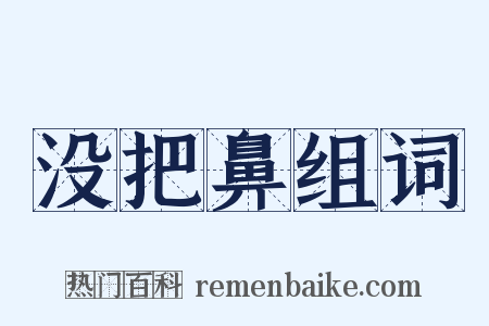 没把鼻组词是什么意思的图片